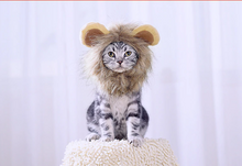 Load image into Gallery viewer, Lion Hat Cat Head Wear