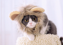 Load image into Gallery viewer, Lion Hat Cat Head Wear