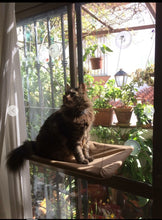 Load image into Gallery viewer, Perches Hanging Cat Window Bed