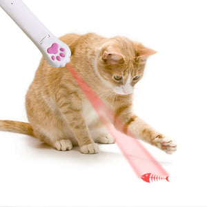 Cat Laser Pointer