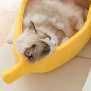 Funny Banana Cat Cuddler Bed