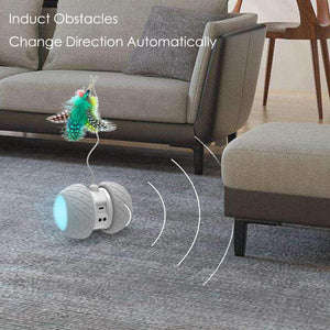 Interactive Robotic Cat Toys,Automatic Irregular USB Charging 360 Degree Self Rotating Ball,Automatic Feathers/Birds/Mouse Toys