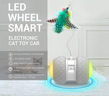 Load image into Gallery viewer, Interactive Robotic Cat Toys,Automatic Irregular USB Charging 360 Degree Self Rotating Ball,Automatic Feathers/Birds/Mouse Toys