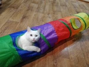 Cat Foldable Tunnel Play Chute