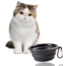 Load image into Gallery viewer, Foldable Pet Feeding Bowl