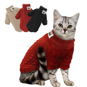 Warm Kitten Turtleneck Clothes