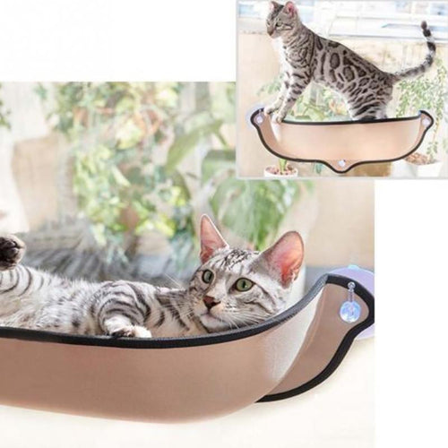 window Perches Suction Cups Cat Bed