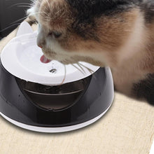 Load image into Gallery viewer, Fountain Pet Water Dispenser