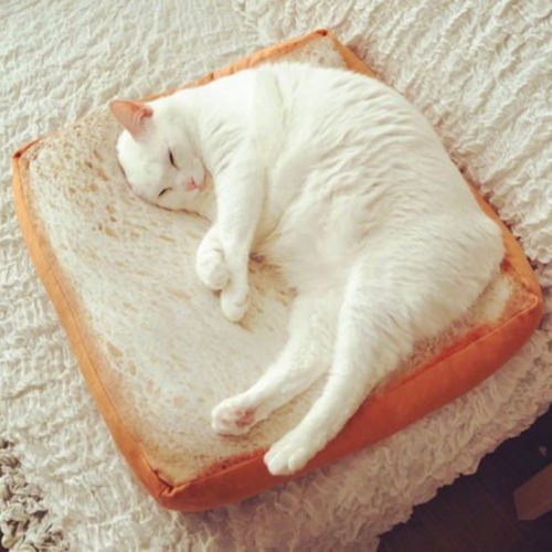 Cuddler Pet Bread Toast Bed